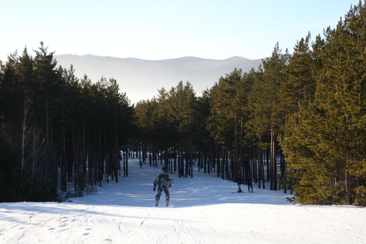 Orman Ski Shchuchinskiy Luaran gambar