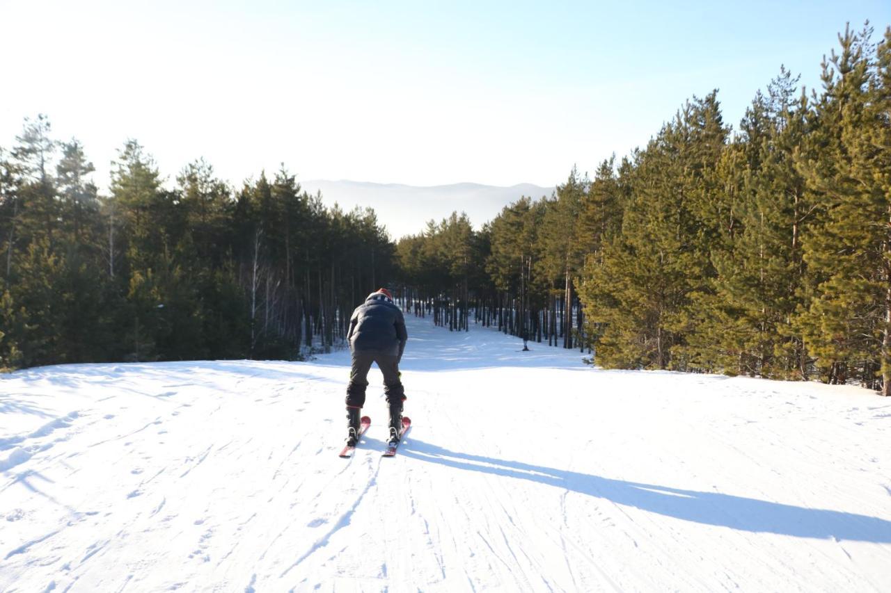 Orman Ski Shchuchinskiy Luaran gambar